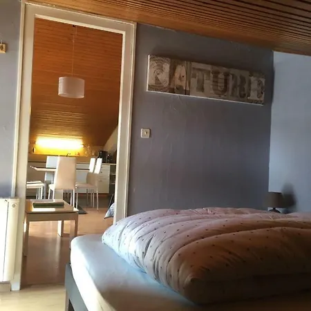 아파트 Appartement Abondance